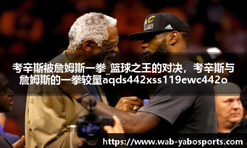 考辛斯被詹姆斯一拳_篮球之王的对决，考辛斯与詹姆斯的一拳较量aqds442xss119ewc442ooiu119